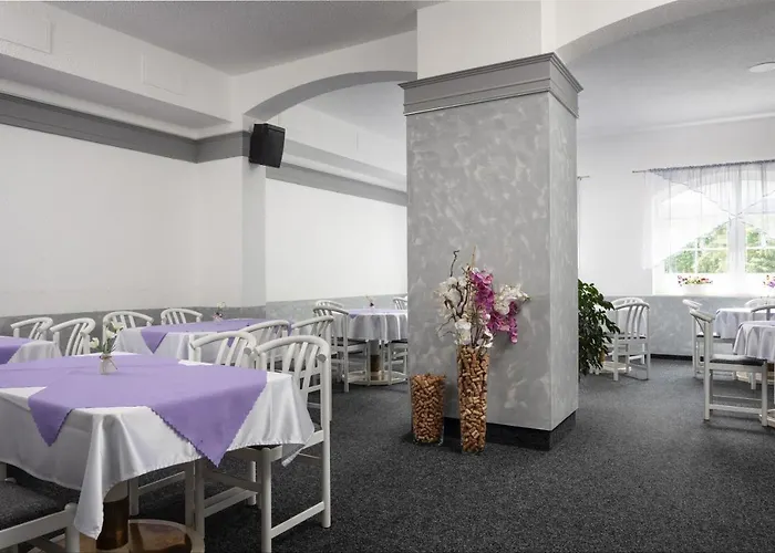 Hotel Ferdinand 3* Marianske Lazne