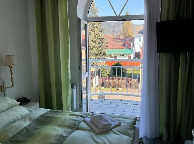 Hotel Hotel Ferdinand Marianske Lazne